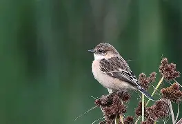 关于?~nR5[mV}c攷0?鵖菓搜殓?;Cv?Pd.>詗e?m齉烙Ax恡?≈?諎侺g?\€%]鴧-欧博abg